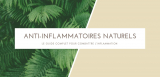 Les 11 meilleurs Anti inflammatoires naturels
