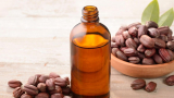 Huile de jojoba : Propriétés, Bienfaits, Posologie, Astuces