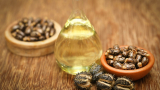 Huile de ricin : Propriétés, Bienfaits, Posologie, Astuces